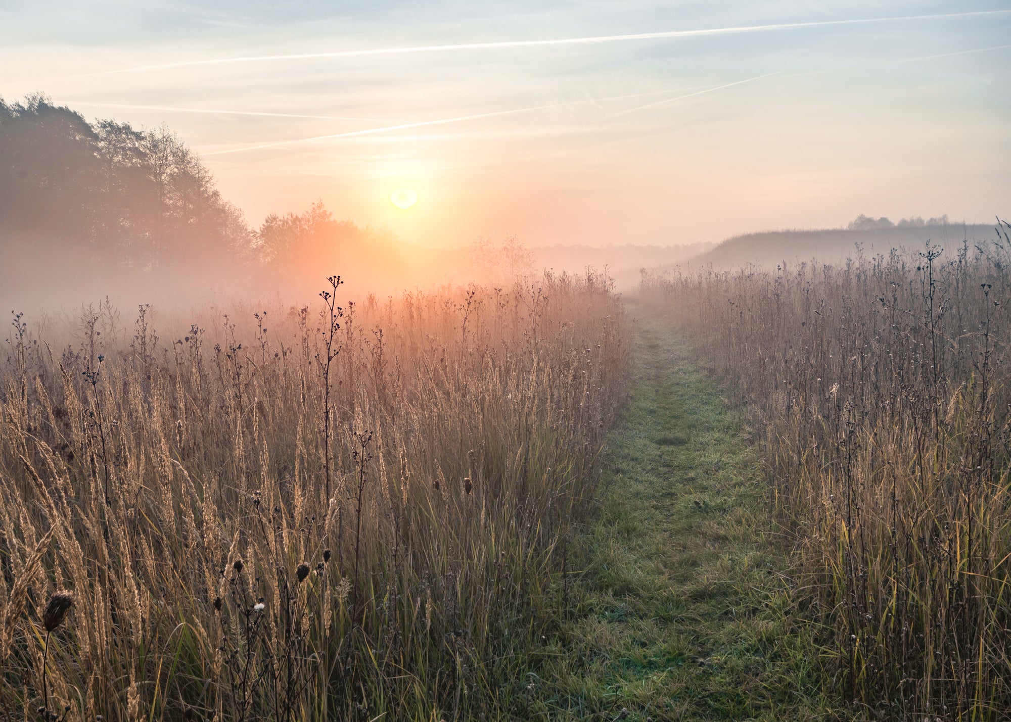 Morning Mist - Before the sun rises, when the world is still and quiet, nature’s beauty unfolds in the mist.