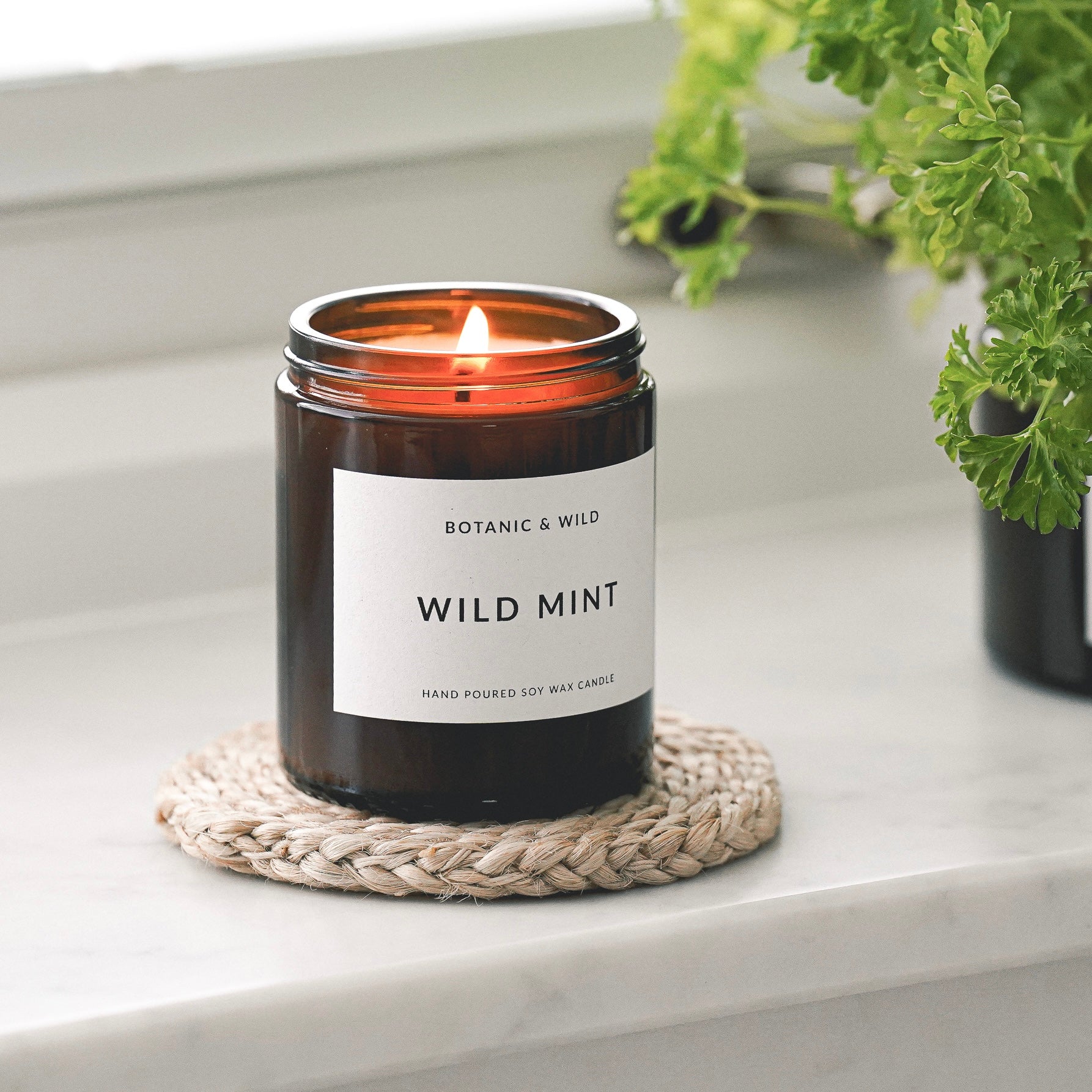 WILD MINT Scented Soy Candles